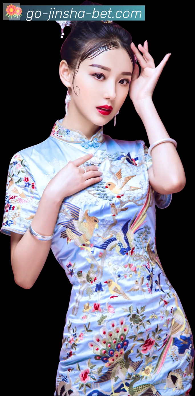 奖项证书